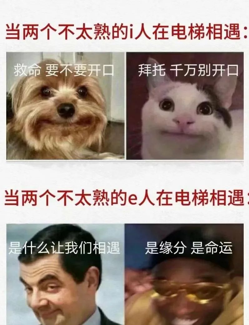 1699432593790849.jpg 1699432593790849.jpg